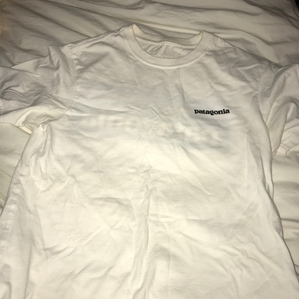 patagonia tshirt